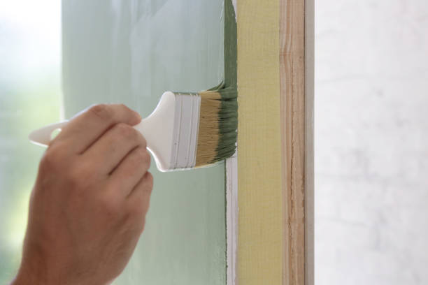 Best Basement Mold Removal  in Revere, MA