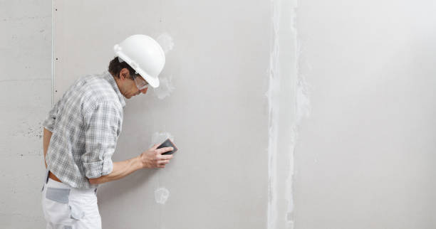 Best Black Mold Removal  in Revere, MA