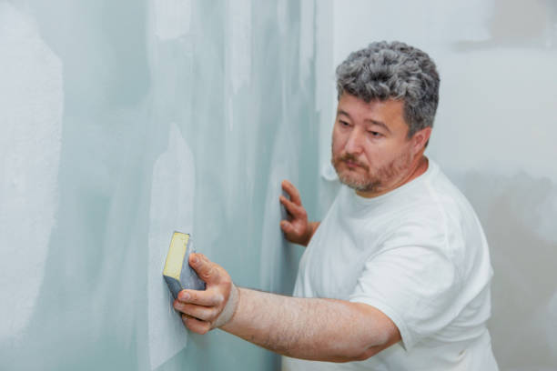 Best Real Estate Mold Inspection  in Revere, MA