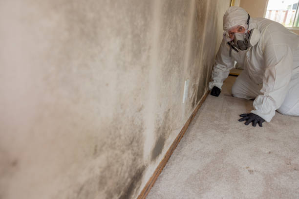 Best Mold Prevention Services  in Revere, MA