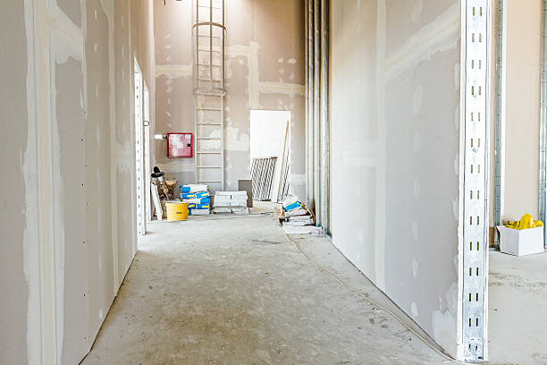 Best Attic Mold Removal  in Revere, MA